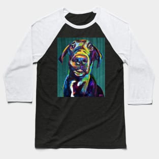 Beautiful Great Dane on Blue Baseball T-Shirt